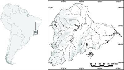 Hidden Diversity Hampers Conservation Efforts in a Highly Impacted Neotropical River System